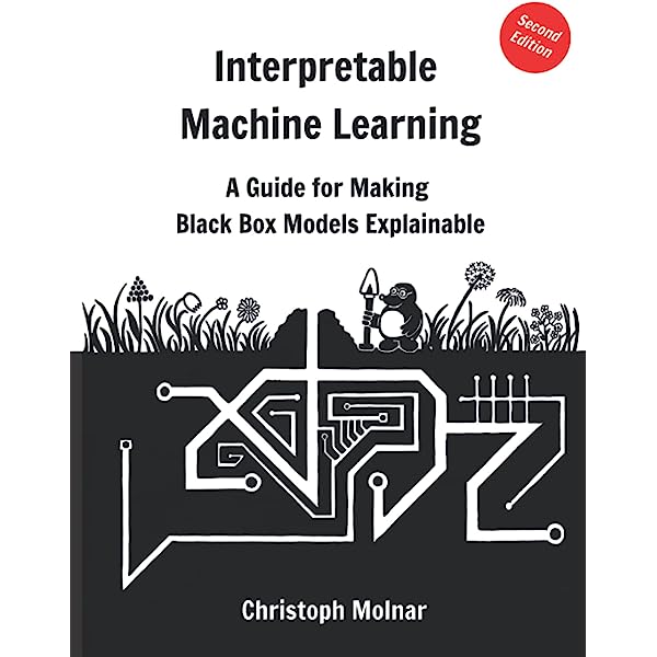 Interpretability Vs Explainability in Machine Learning
